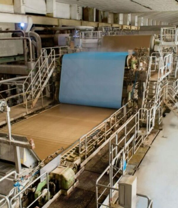 Ablandadores de agua para industria papelera